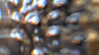 I Feel As If Might Be Vanishing