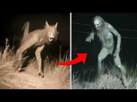 10 Real Nahuales & Skinwalkers Caught on Camera