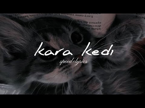 KARA KEDİ/MELIS FIS (speed+lyrics)