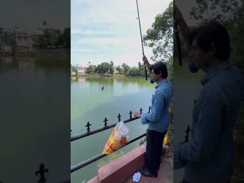 #music #phonk #halloween #beats #typebeat #fishing #hooksfishing #fishingmusic #shortsfeed #fish