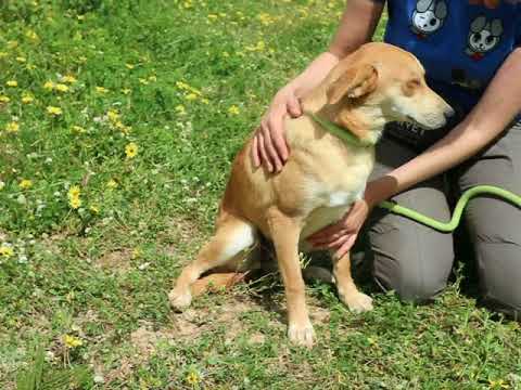 Vídeo de DARLA