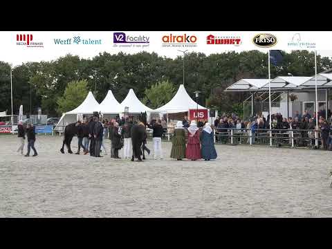 CK 2025 English | four year and older mares and championships | 13th September