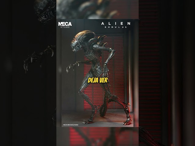 Vídeo relacionado con Alien - MEGA Figura del Xenomorfo atacando en los conductos - Eaglemoss Collections