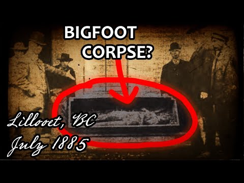REAL SASQUATCH REMAINS Found in Canada? | Forbidden History