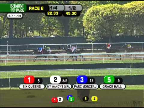 Fiftyshadesofhay - 2014 Ruffian S. (G2)