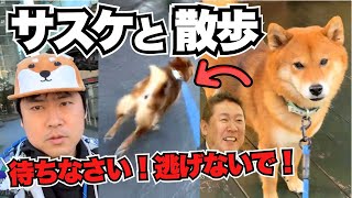 立花孝志の犬サスケと迷惑系散歩をする横山緑【2026/1/9】