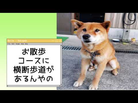 ワンワンU・x・Uお悩み相談室8️⃣1️⃣〜勝山市「ちゃちゃちゃん」#横断歩道は歩行者優先 🚶‍♂️