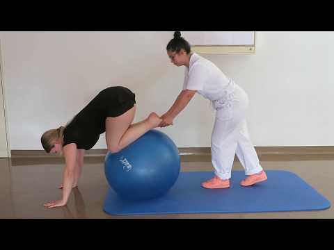 Therapeutische FBL- Übung mit dem Pezziball " Der Seeigel und der Goldfisch"