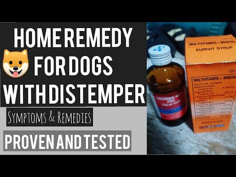 SYMPTOMS & HOME REMEDY FOR DOGS WITH DISTEMPER