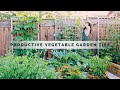 Summer Harvest | 8 Vegetable Gardening Tips for Beginners | Pro Tip Included | Grow Our Own Food