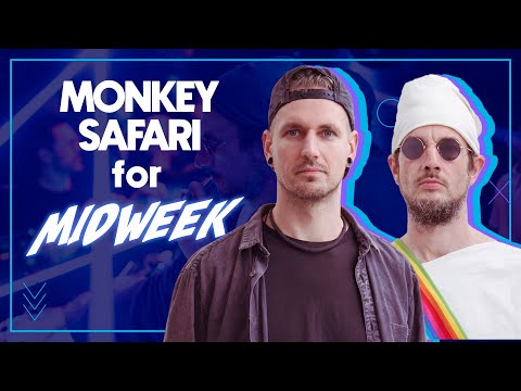 MONKEY SAFARI FOR MIDWEEK