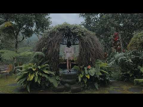Umbrella - Chero