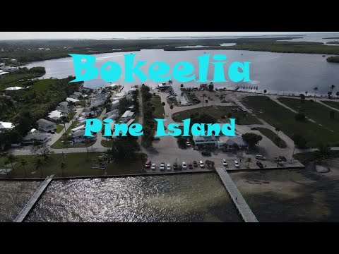 Bokeelia Pine Island