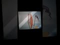 All Of The PBS KIDS Sprout Split Screen Coming Up Next Bumpers I Have