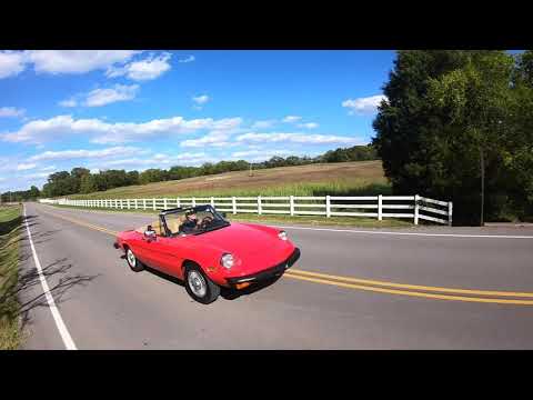 1981 Alfa Romeo Spider (CC-1381535) for sale in Lebanon, Tennessee