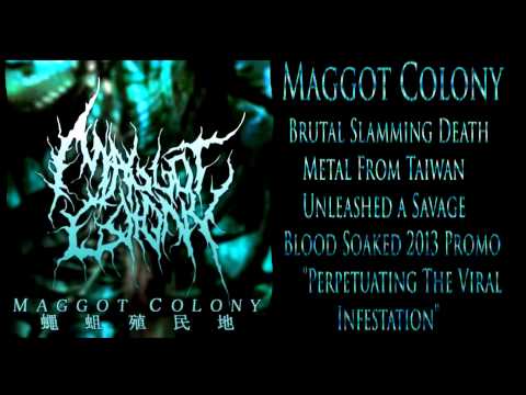 MAGGOT COLONY: Perpetuating The Viral Infestation
