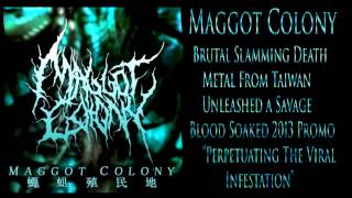 MAGGOT COLONY: Perpetuating The Viral Infestation