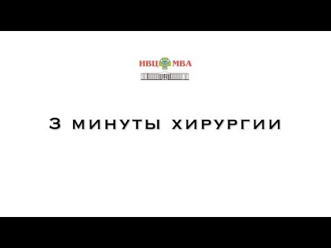 Болит спина и ползают мурашки Лечение остеохондроза у кота
