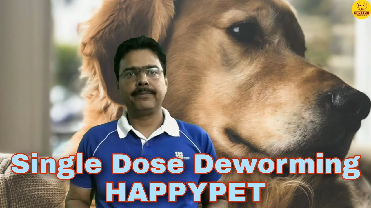 Single Dose Deworming Kiwof Plus XL Tablet || Happypet