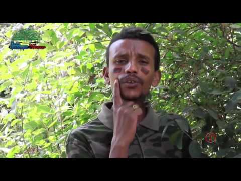 Remix  Tokko Qabna Habtamu Lamu, Kadir Martu, Jirenyaa Shifara, Faxee Aniya