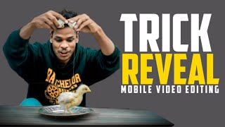 Egg To Chicken Awesome Magic Trick Video Editing Full Tutorial Kinemaster