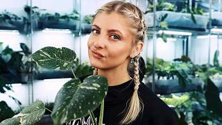 These plants are DIFFERENT! Thai 1.0 vs 2.0