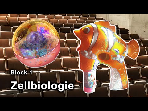 Grundvorlesung "Uni-Version" - Block 1: Zellbiologie