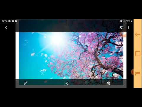 Mãi Mãi Là Lời Nói Dối _ Khổng Tú Quỳnh (MMLLND)