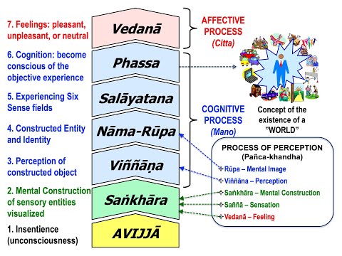 PHASSA IS COGNITION: FORMING AN OBJECT FROM THE PROCESS OF EXPERIENCE - BHANTE PUNNAJI
