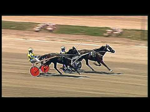 Trotto 31/05/2020 - 1ª prova di qualifica