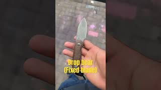Kizer drop bear fixed blade #micarta #14c28n #fixedblade #edcknife #budgetedc #knives #kizer #edc