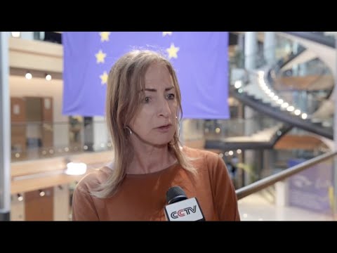 U.S. benefits the most from Ukraine crisis: European Parliament member