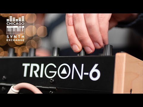 Sequential Trigon 6 Demo | Chicago Synth Exchange