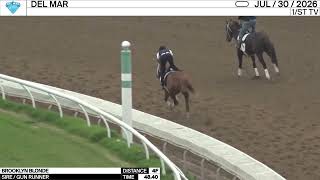 Work of the Day at Del Mar: Brooklyn Blonde worked 4 Furlongs in 48.40 on July 30th, 2026