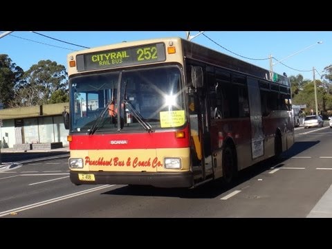 Punchbowl Bus Co. M/O 408 - Scania L113CRL (ZF/Austral Pacific)