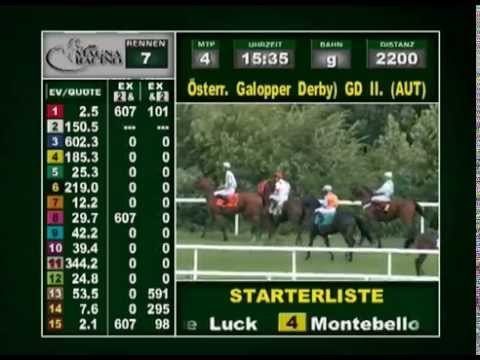 Österreichisches Galopper-Derby 2011