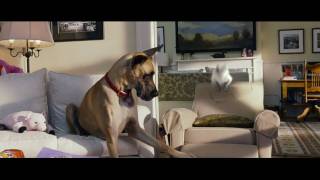 Marmaduke Film Trailer