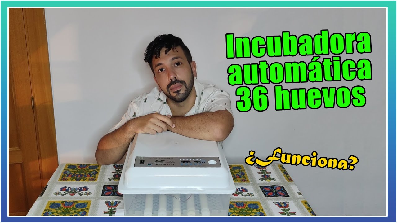 Watch ⚙️ Como FUNCIONA y RESULTADOS de la Incubadora Automática de 36 huevos Now ⚙️ Como FUNCIONA y RESULTADOS de la Incubadora Automática de 36 huevos