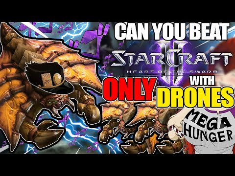 Can You Beat StarCraft 2 Heart of the Swarm with Only Drones?