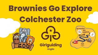 Brownies Go Explore 2023 Colchester Zoo