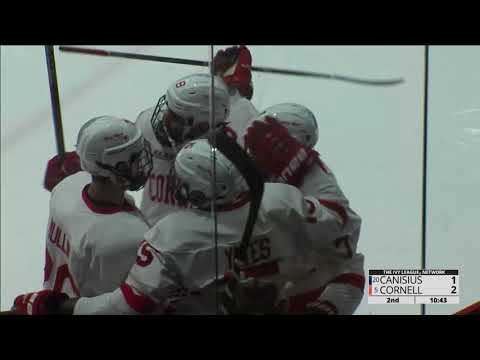Highlights: Cornell MIH vs Canisius - 12/30/17