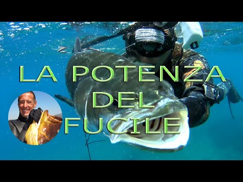 Pesca sub pro e contro potenza del fucile.