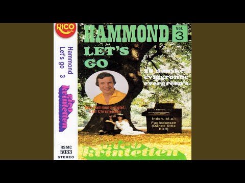 Heut' komm'n die Engerl'n auf Urlaub / Alle piger små i seng må gå / Hvis jeg må, hvis jeg må