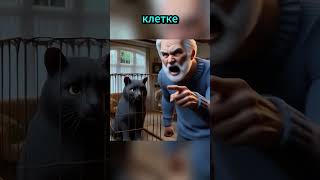 кот спасает плохого старика