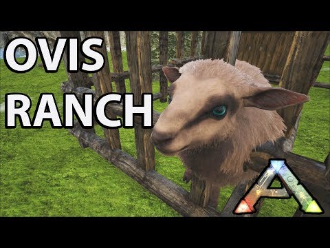 Ovis Ranch/ Sheep Farm: Ragnorak S1 EP3