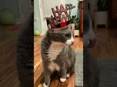 elmer💋🫶🏼💝💘