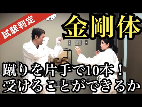 【金剛体】～試験判定～蹴りを10本片手で受けさばくことができるか!?