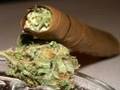 Get Your Blaze On- Mr Criminal
