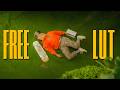 5 Levels To Cinematic Color DaVinci Resolve FREE LUT