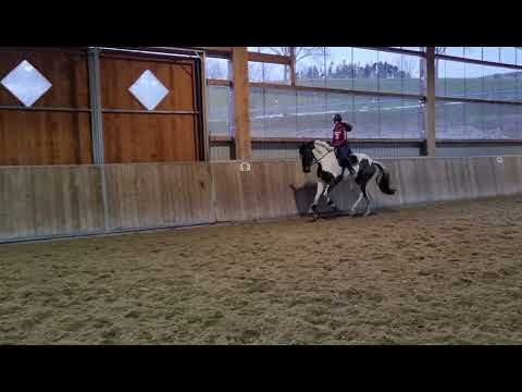 SOLD: ** Bounty ** Pferdehandlung Dederichs **